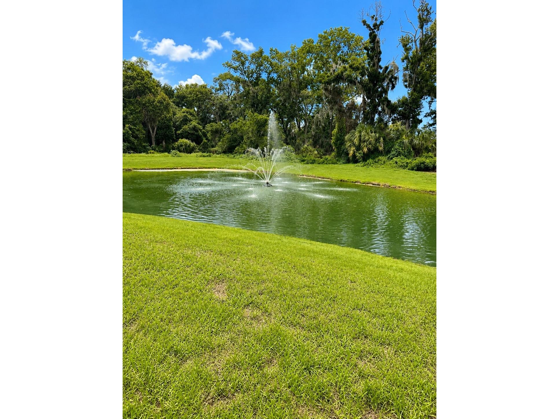 809 Lucent Sands Court Brandon FL 33511 TB8532519 image23