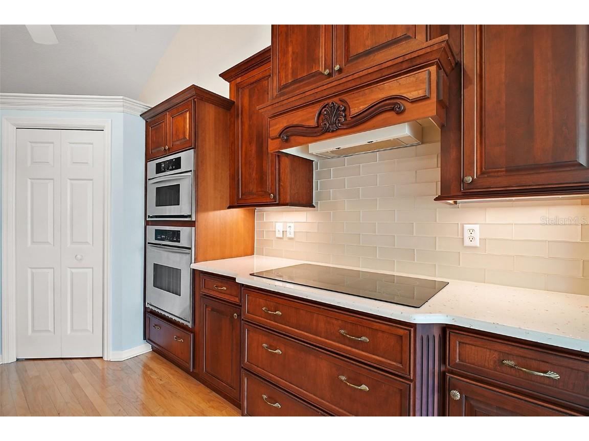 809 Northside Drive Mount Dora FL 32757 G5103479 image14