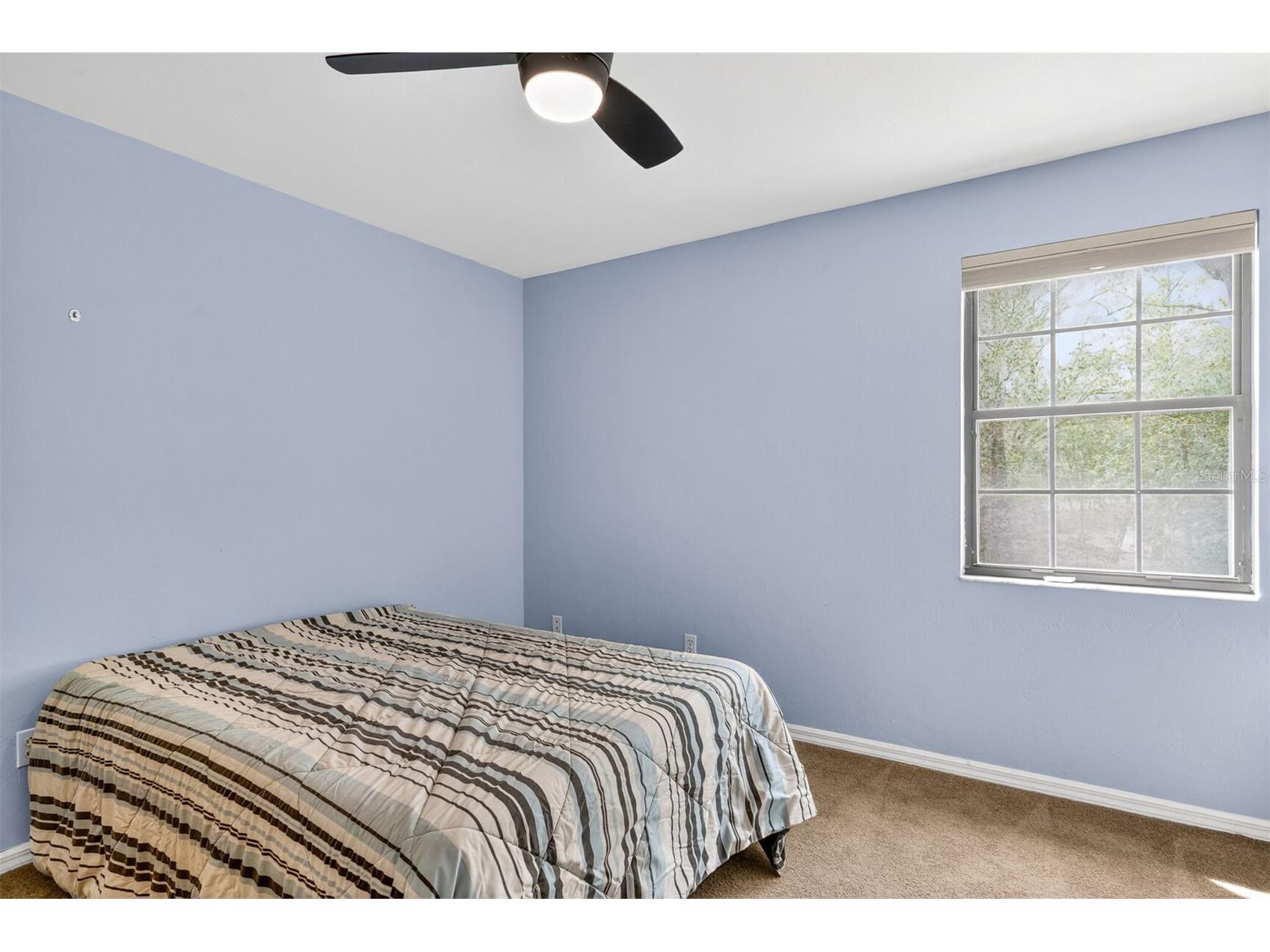 809 NW 42nd Terrace Gainesville FL 32605 GC537974 image22