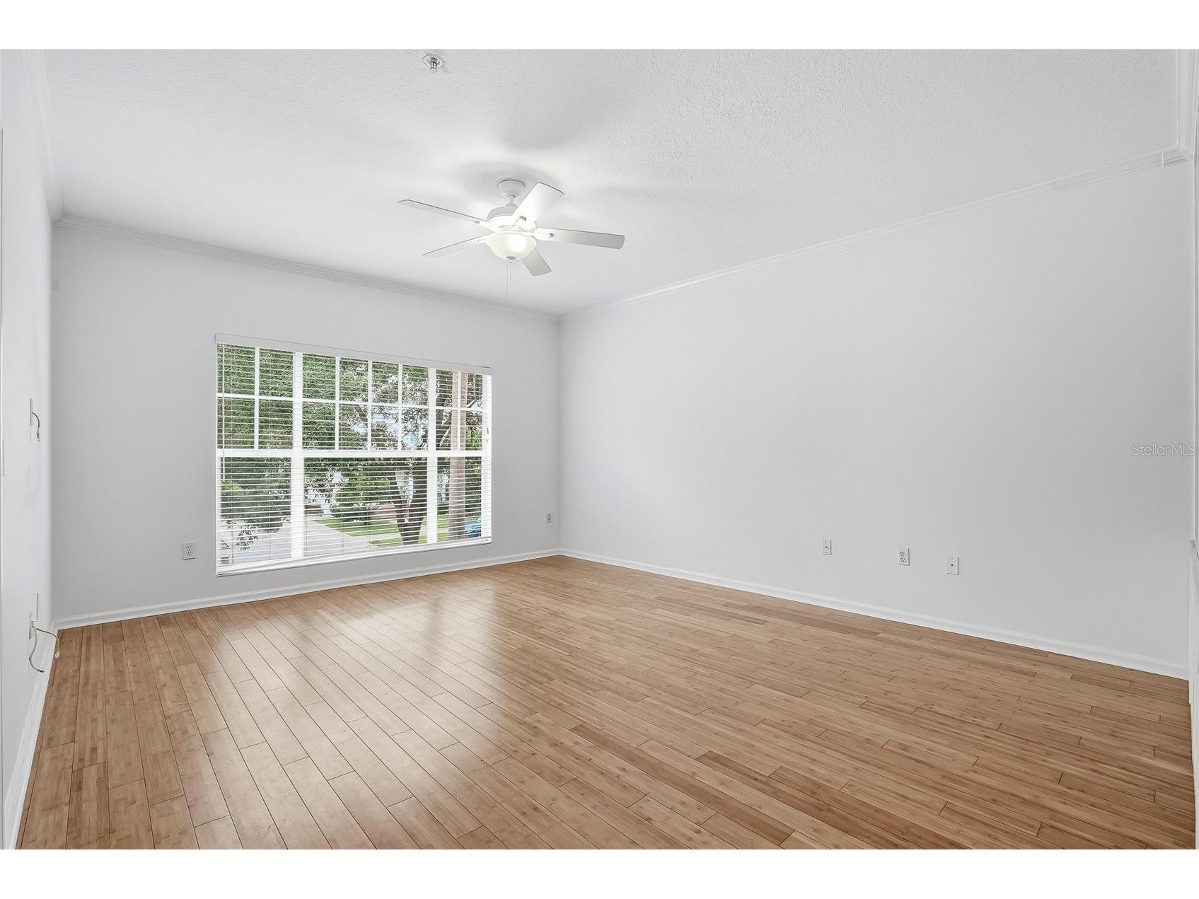 809 S Oregon Avenue #B Tampa FL 33606 TB8514933 image3