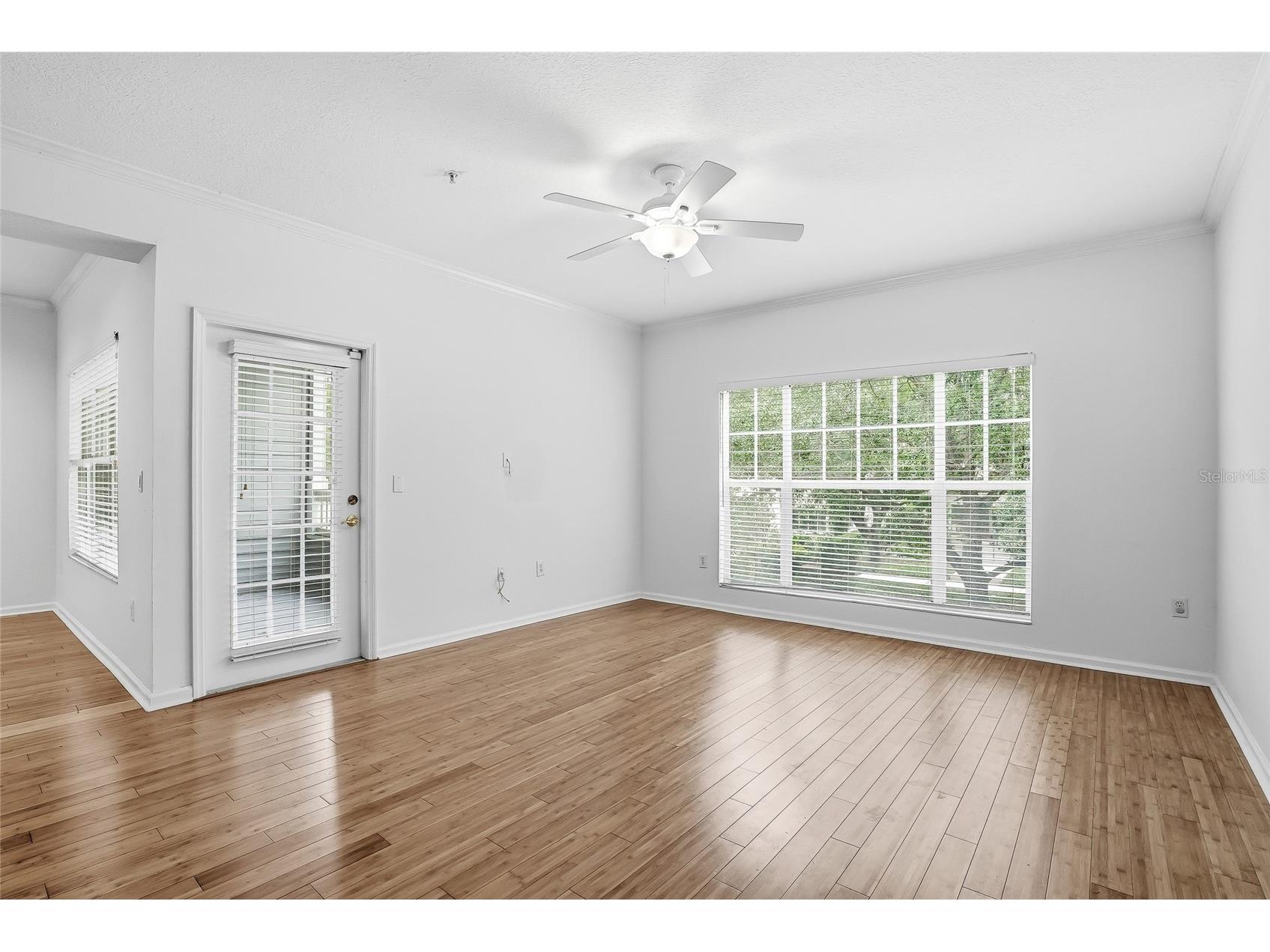 809 S Oregon Avenue #B Tampa FL 33606 TB8514933 image32