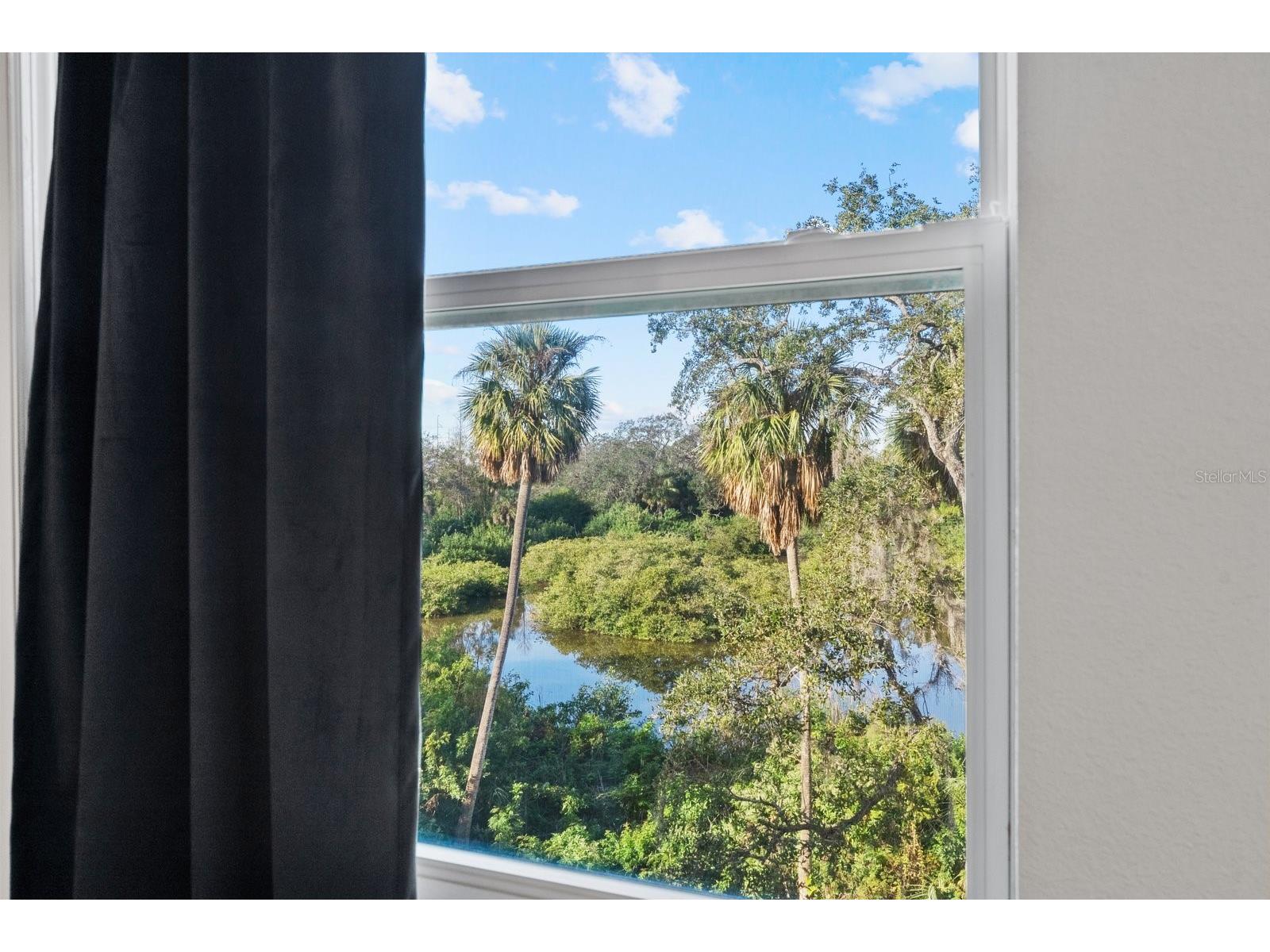 809 Tennyson Mill Circle Tampa FL 33619 TB8466402 image24