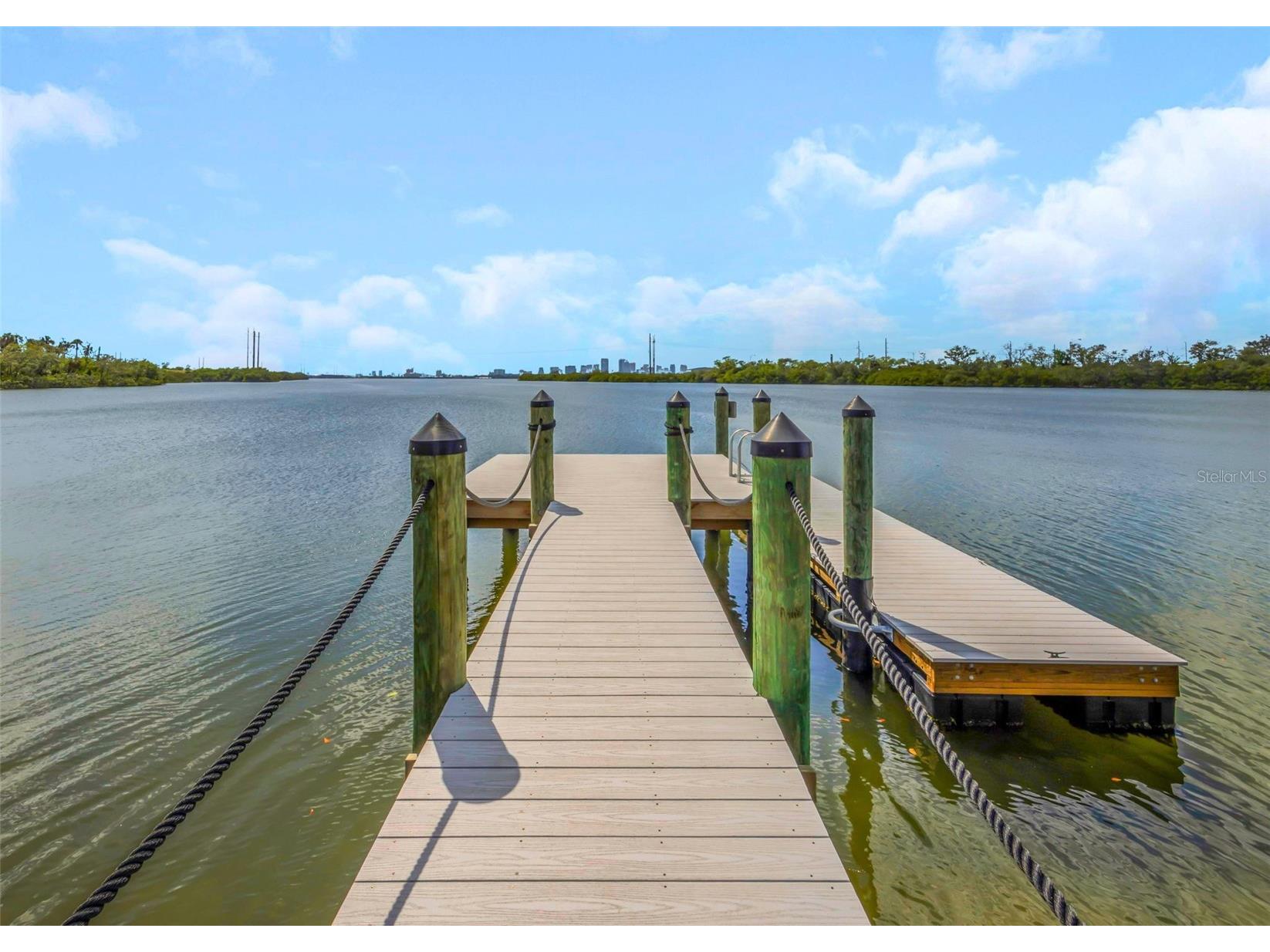 809 Tennyson Mill Circle Tampa FL 33619 TB8466402 image45