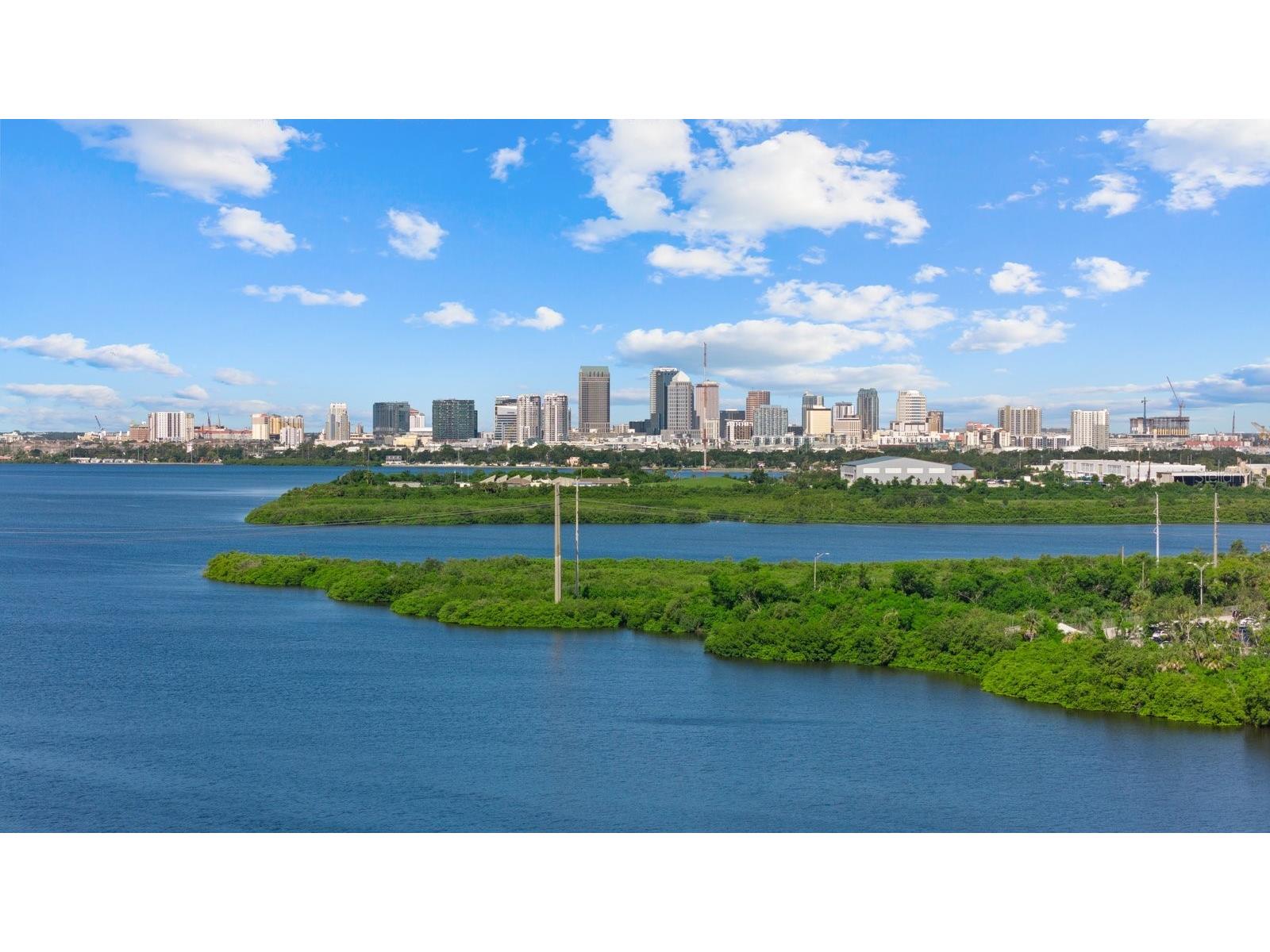 809 Tennyson Mill Circle Tampa FL 33619 TB8466402 image48