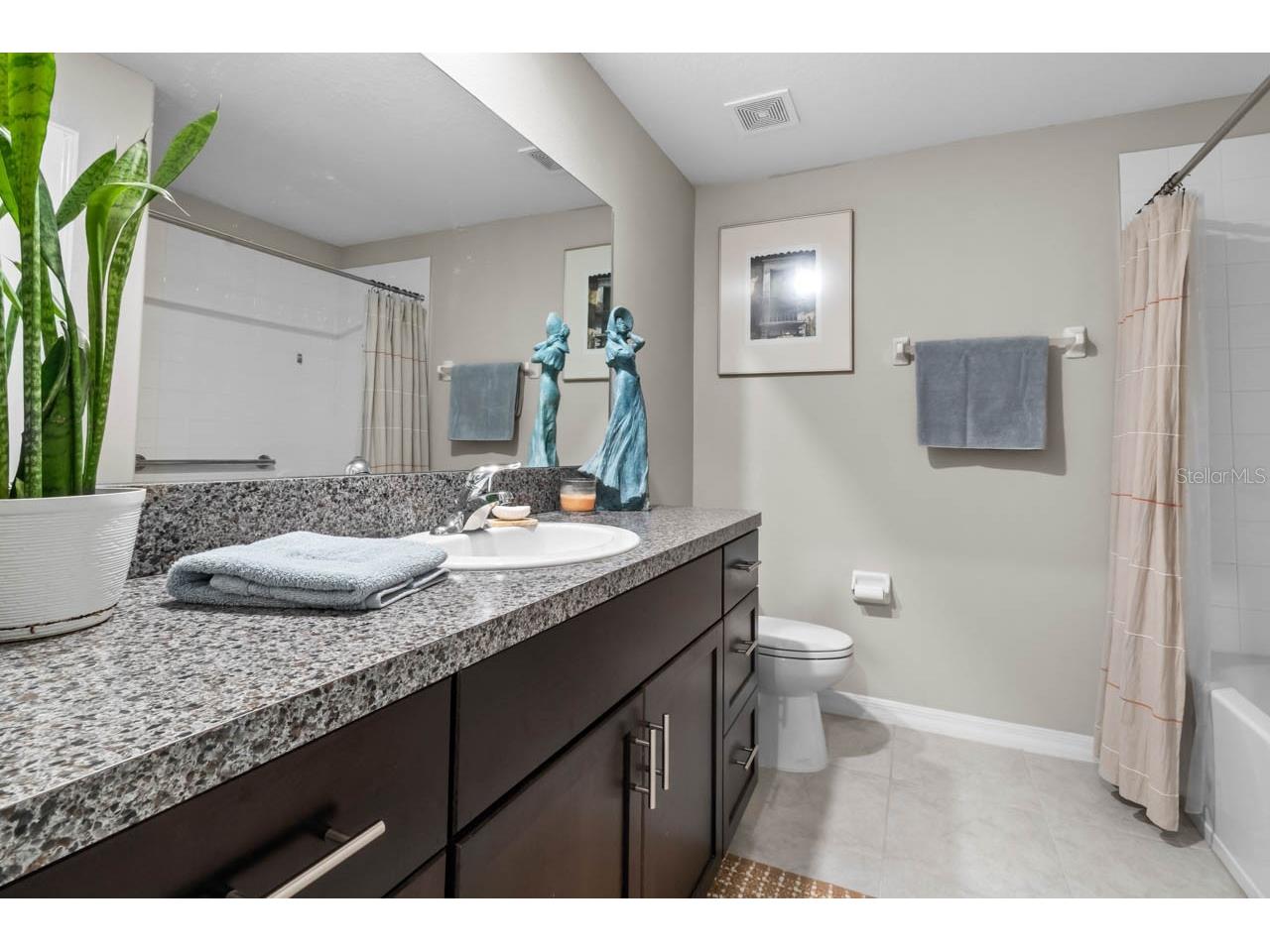 809 Timeless Moss Drive Ruskin FL 33570 - MILLS BAYOU TB8528848 image33