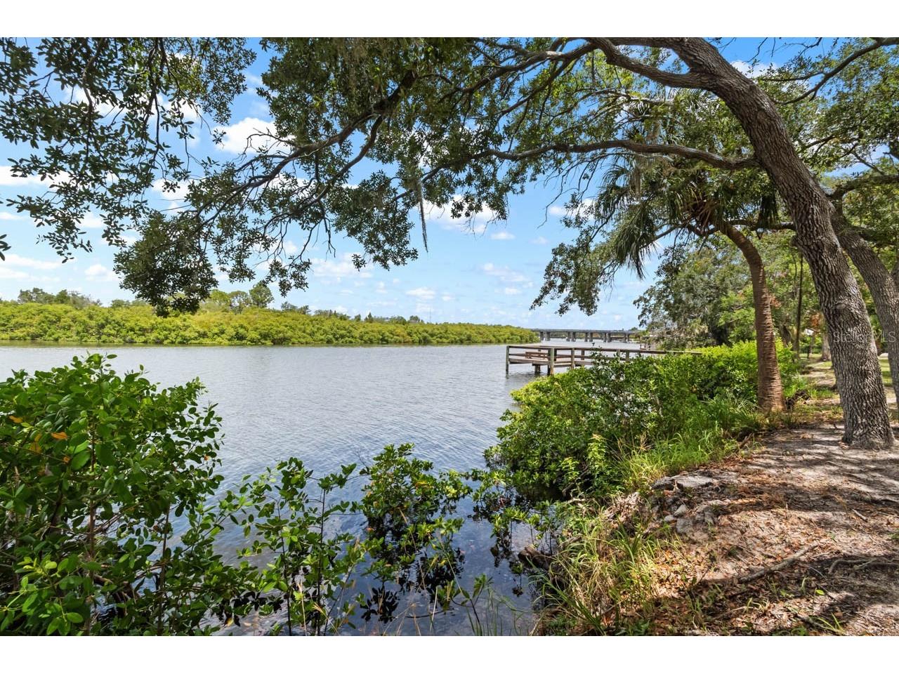 809 Timeless Moss Drive Ruskin FL 33570 - MILLS BAYOU TB8528848 image67