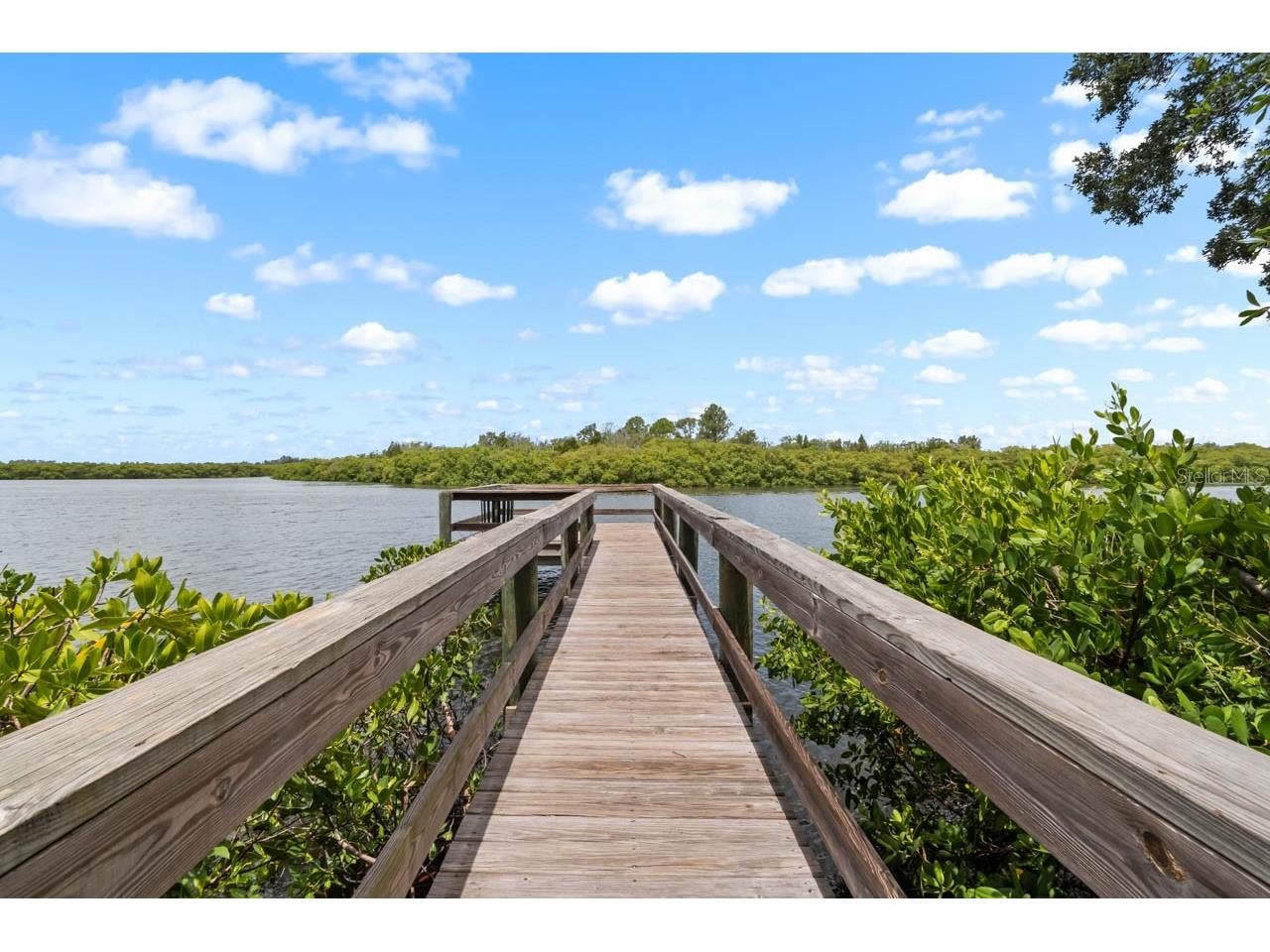 809 Timeless Moss Drive Ruskin FL 33570 - MILLS BAYOU TB8528848 image68