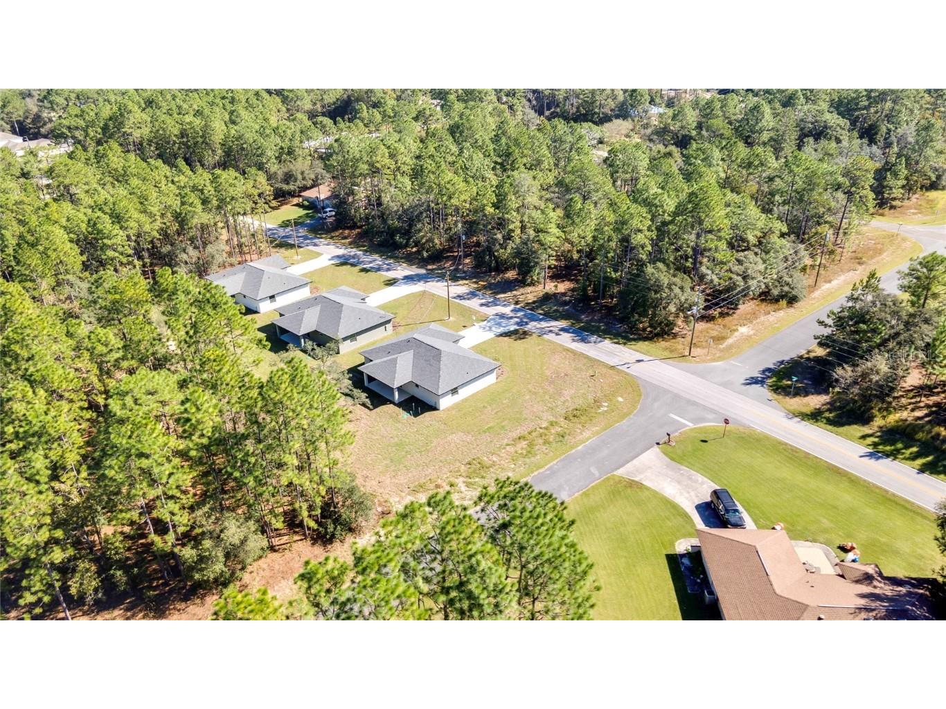 8090 N Santos Drive Citrus Springs FL 34434 TB8317146 image61