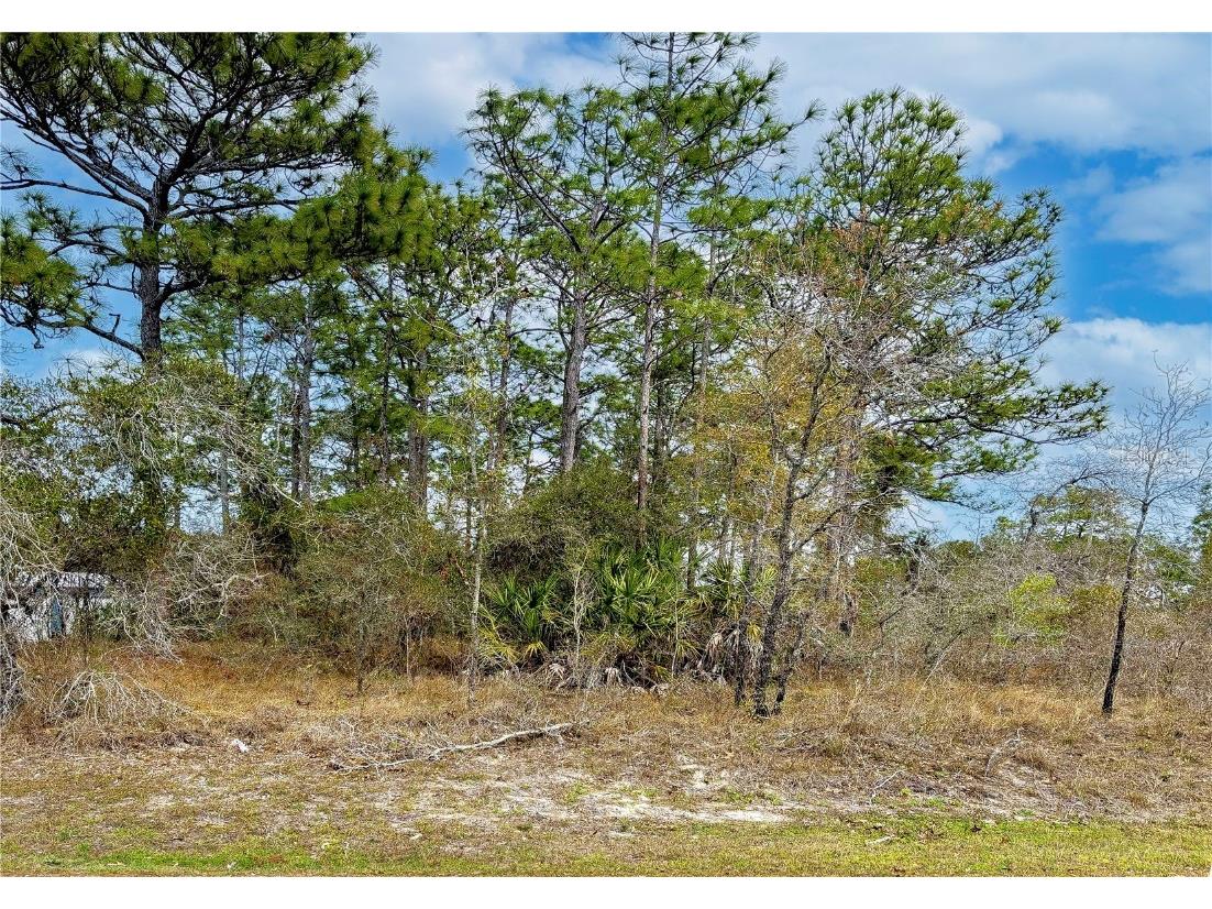 8090 Nordica Road Brooksville FL 34613 TB8359807 image1