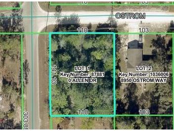 8092 Allen Drive Weeki Wachee FL 34613 W7887722 image2