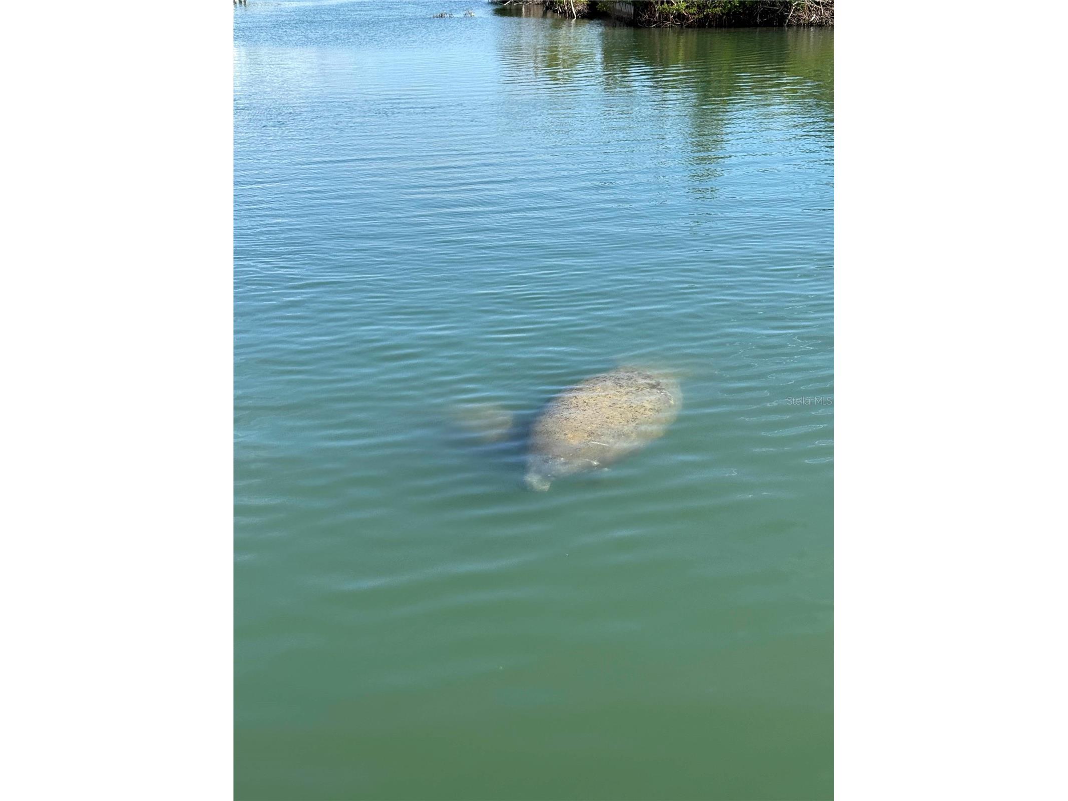 8092 Little Gasparilla Island Placida FL 33946 D6145485 image18