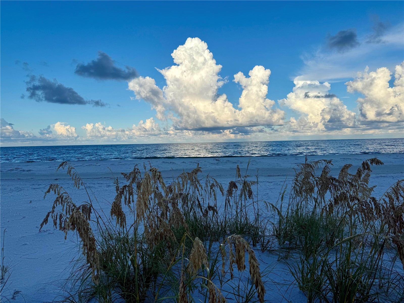 8092 Little Gasparilla Island Placida FL 33946 D6145485 image19