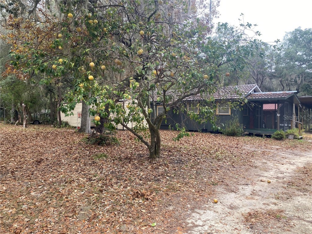 8093 Breezy Point Road E Melrose FL 32666 - Lake Geneva GC535911 image25