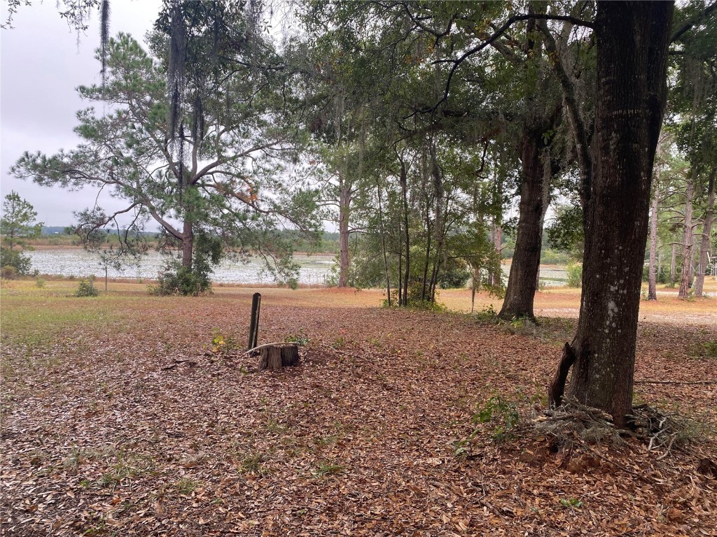 8093 Breezy Point Road E Melrose FL 32666 - Lake Geneva GC535911 image33