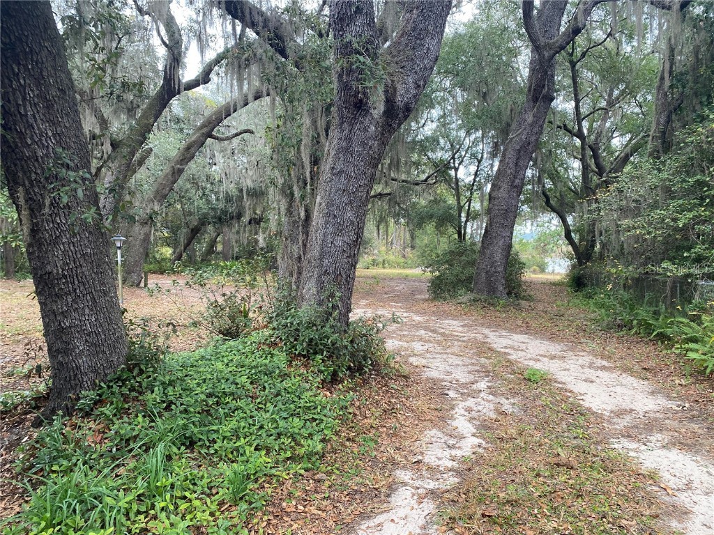 8093 Breezy Point Road E Melrose FL 32666 - Lake Geneva GC535911 image34