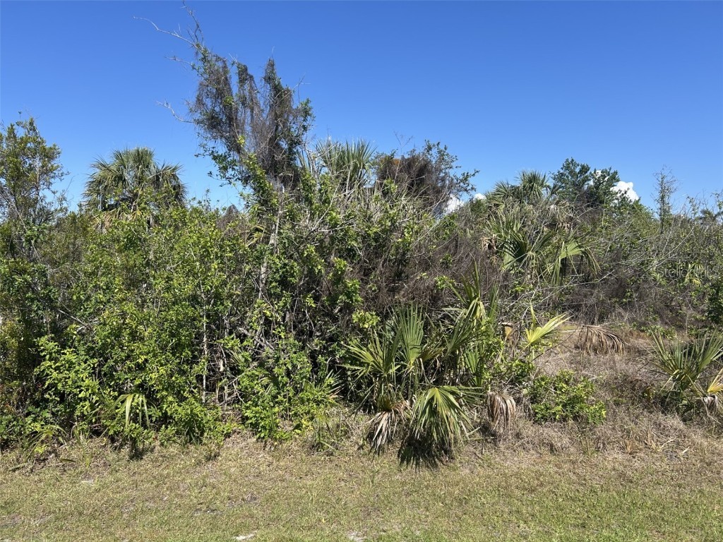 8093 Burwell Circle Port Charlotte FL 33981 D6141703 image1