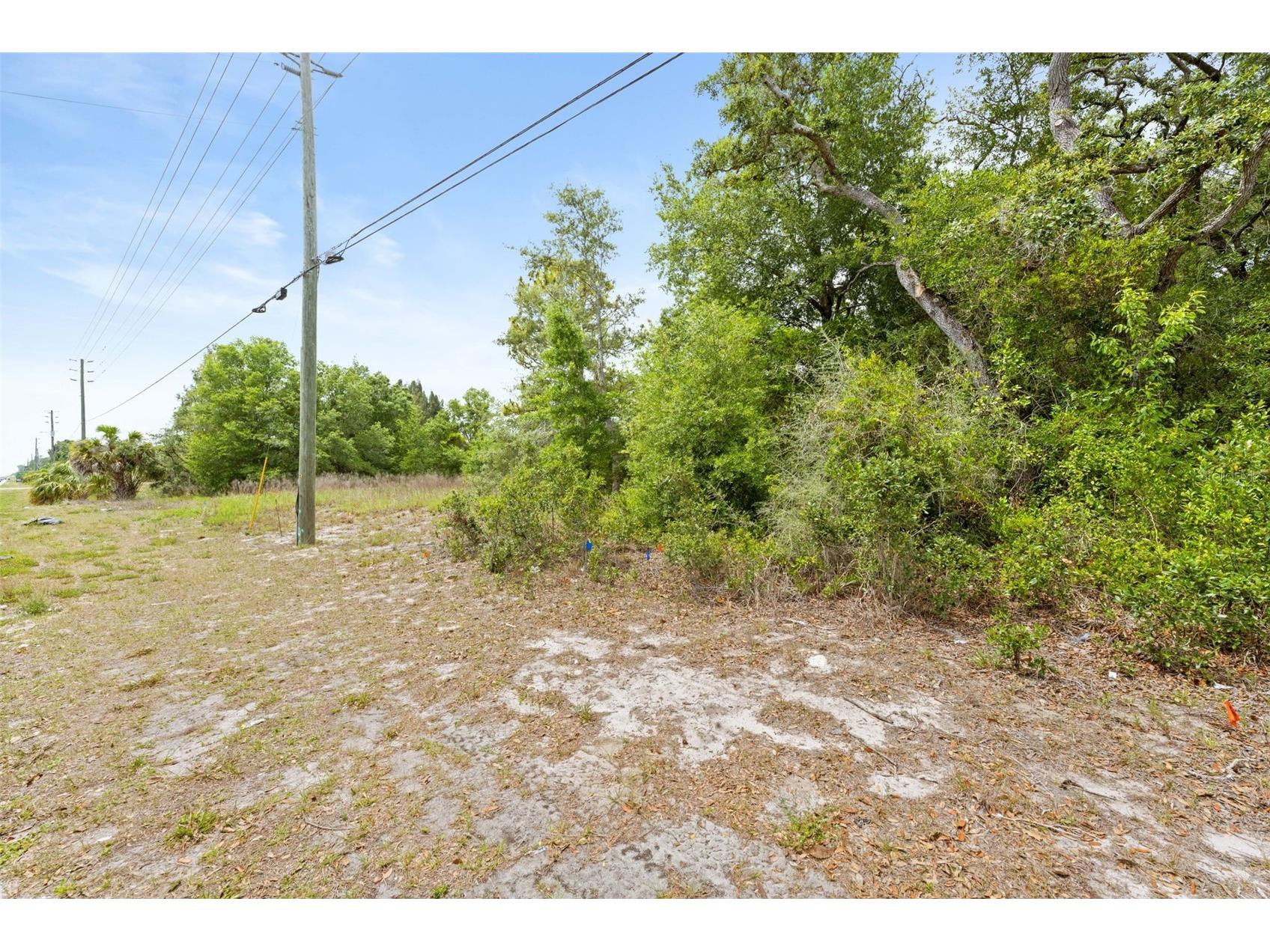 8093 County Line Road Spring Hill FL 34606 OM724852 image1