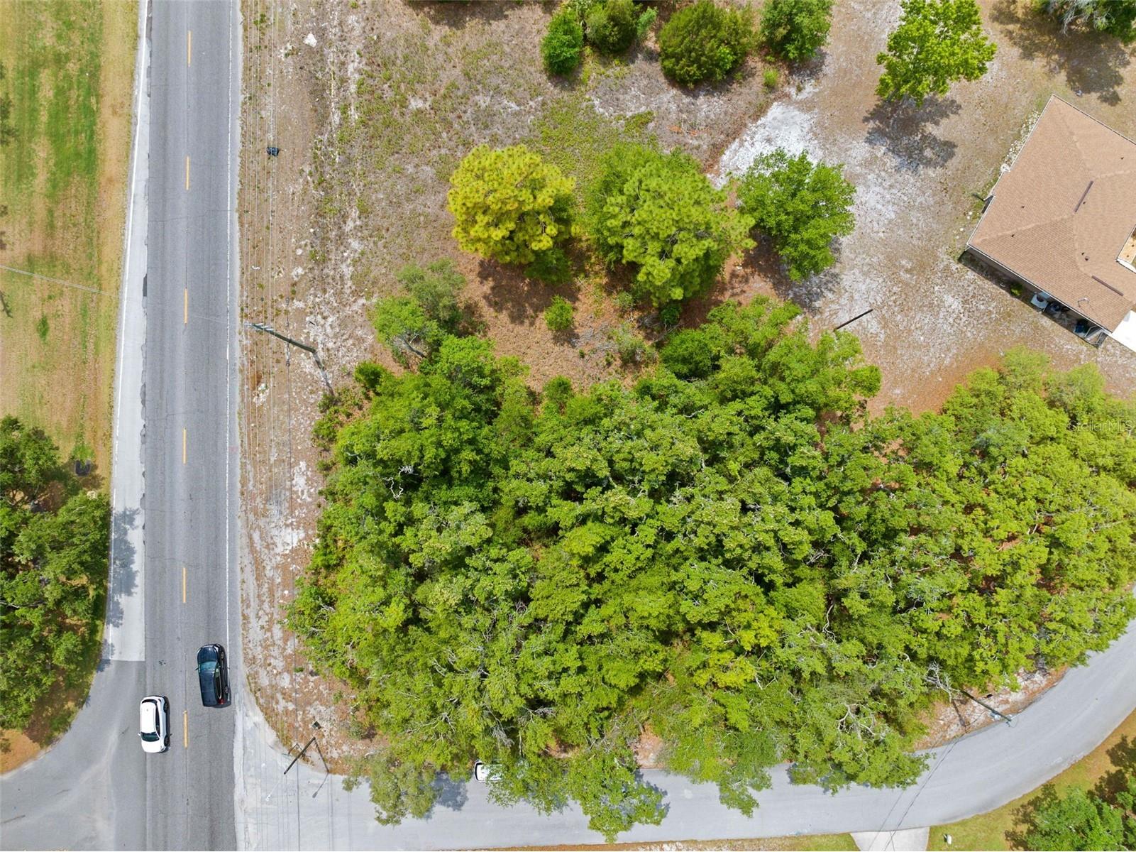 8093 County Line Road Spring Hill FL 34606 OM724852 image2