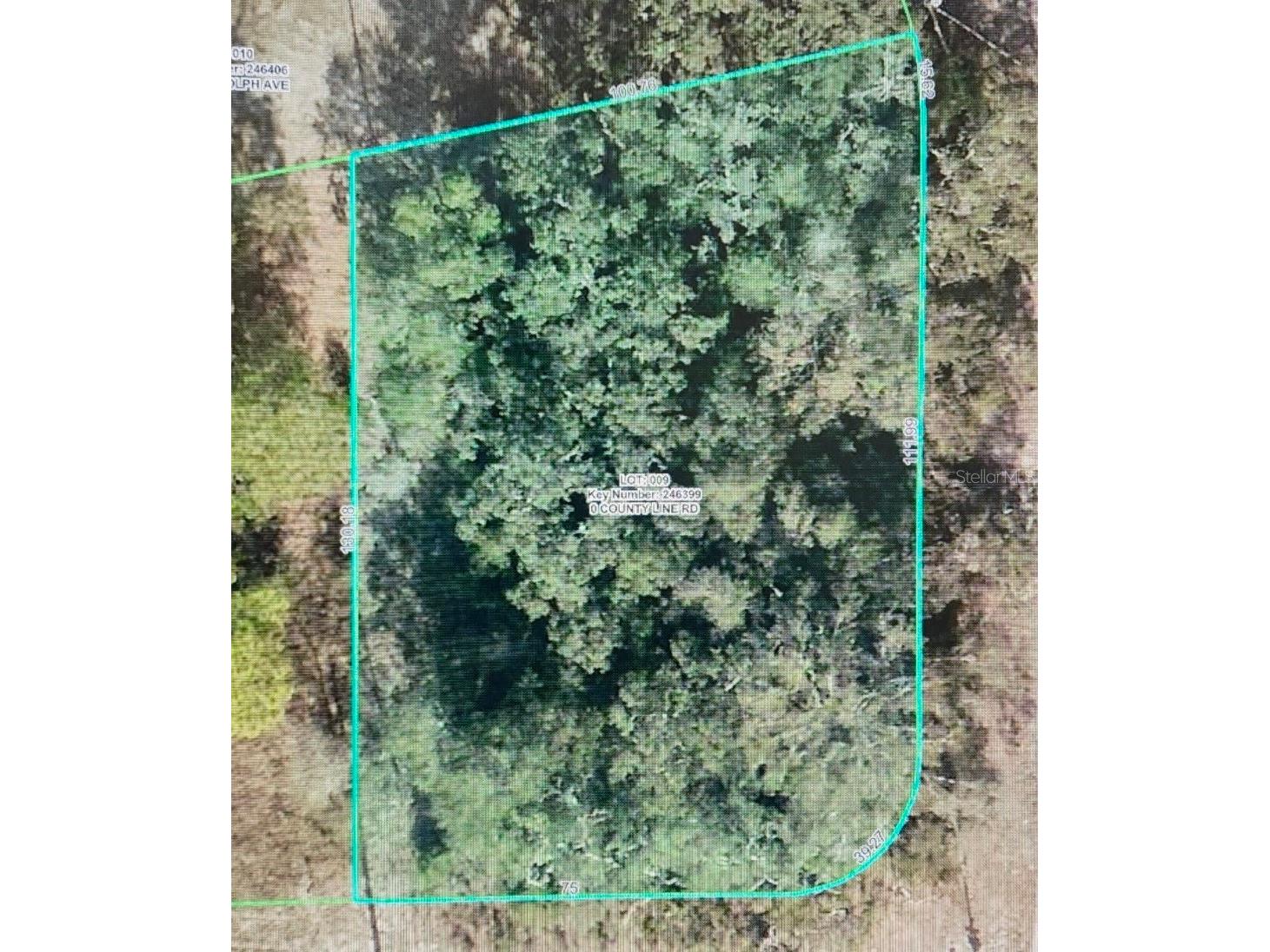 8093 County Line Road Spring Hill FL 34606 OM724852 image5