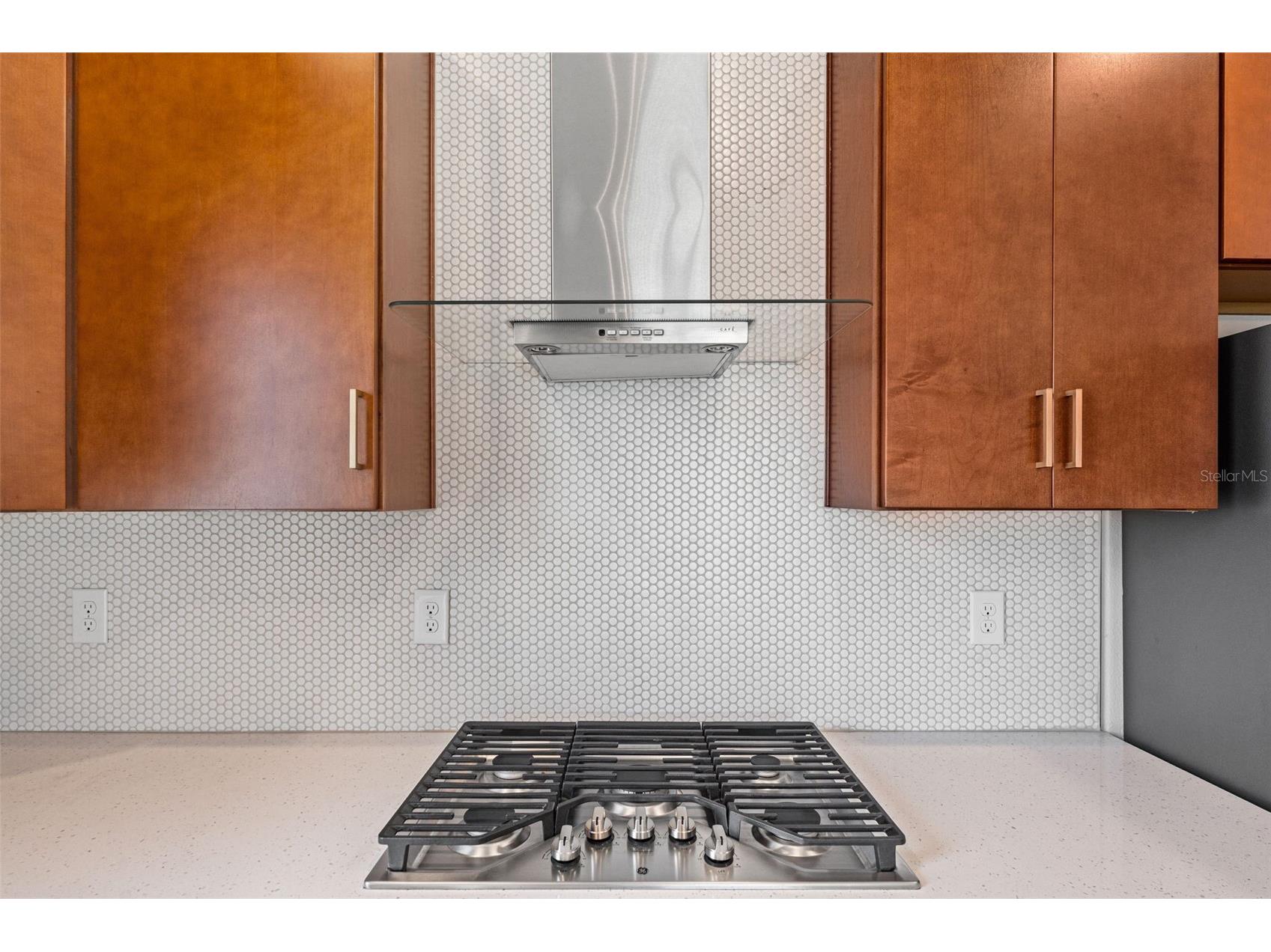 8093 Tea Olive Terrace Palmetto FL 34221 A4692912 image17