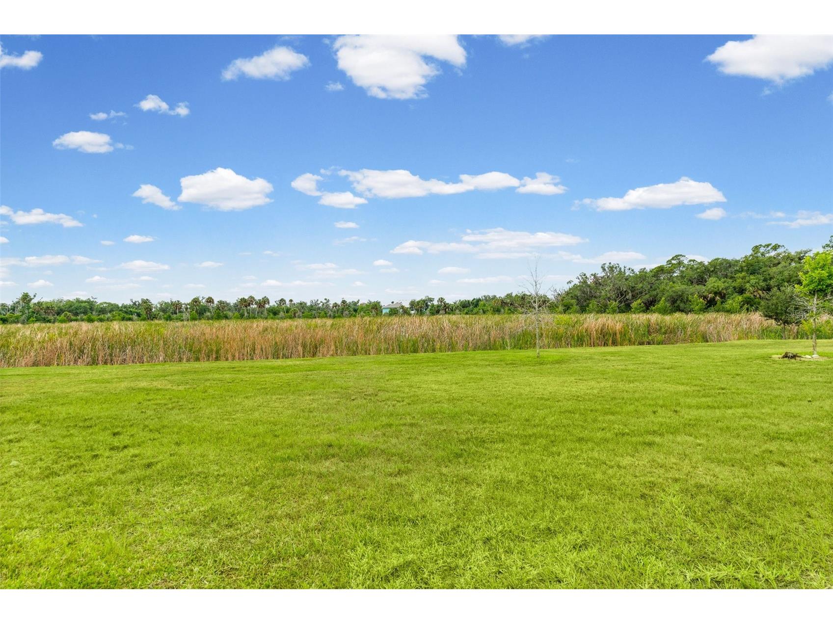 8093 Tea Olive Terrace Palmetto FL 34221 A4692912 image45