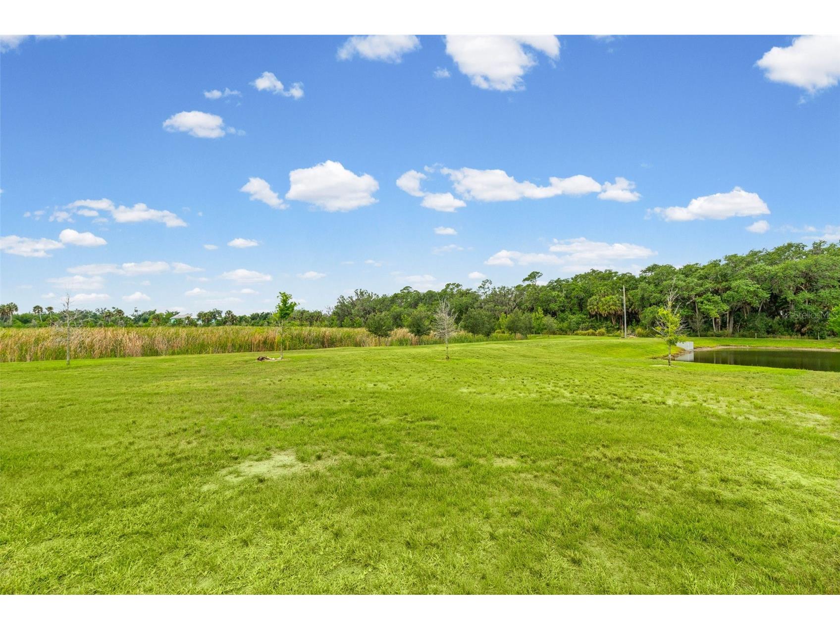 8093 Tea Olive Terrace Palmetto FL 34221 A4692912 image46