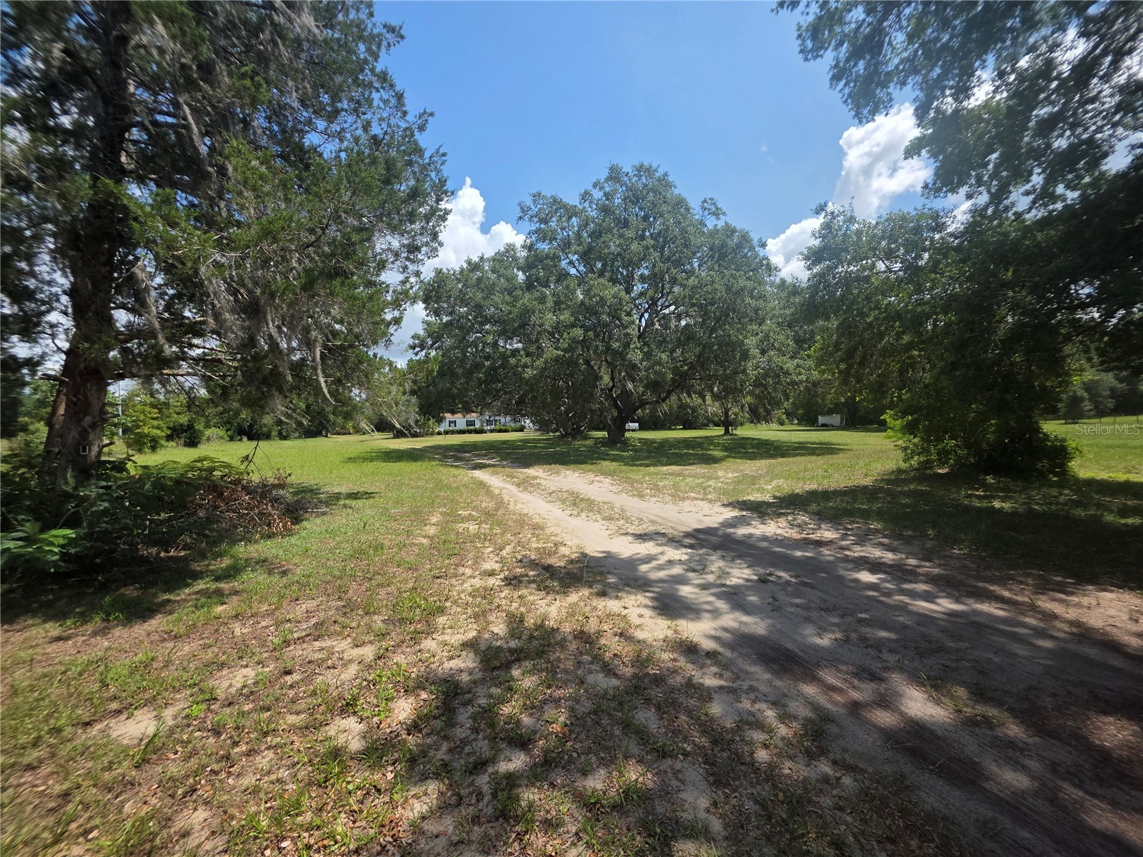 8095 SE 131st Place Summerfield FL 34491 O6417179 image11