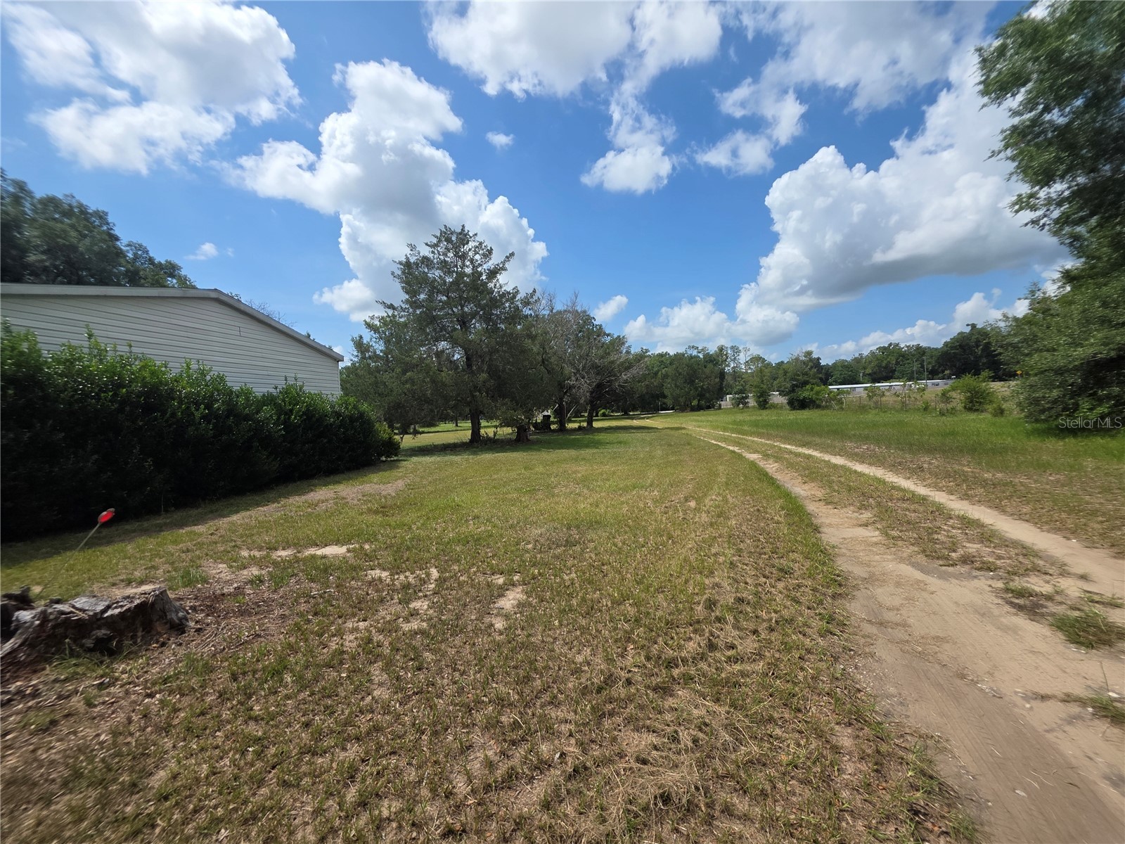 8095 SE 131st Place Summerfield FL 34491 O6417179 image12