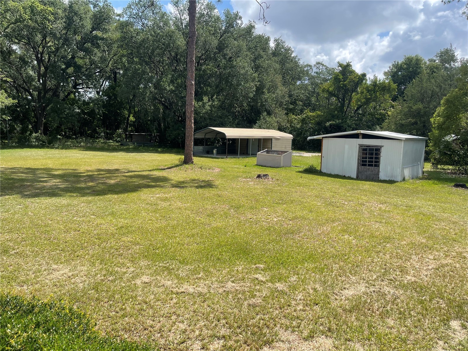 8095 SE 131st Place Summerfield FL 34491 O6417179 image7