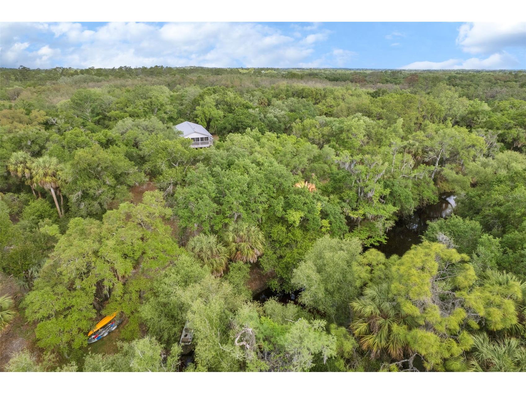 8096 SW Golden Glade Avenue Arcadia FL 34266 - Horse Creek A4689295 image2