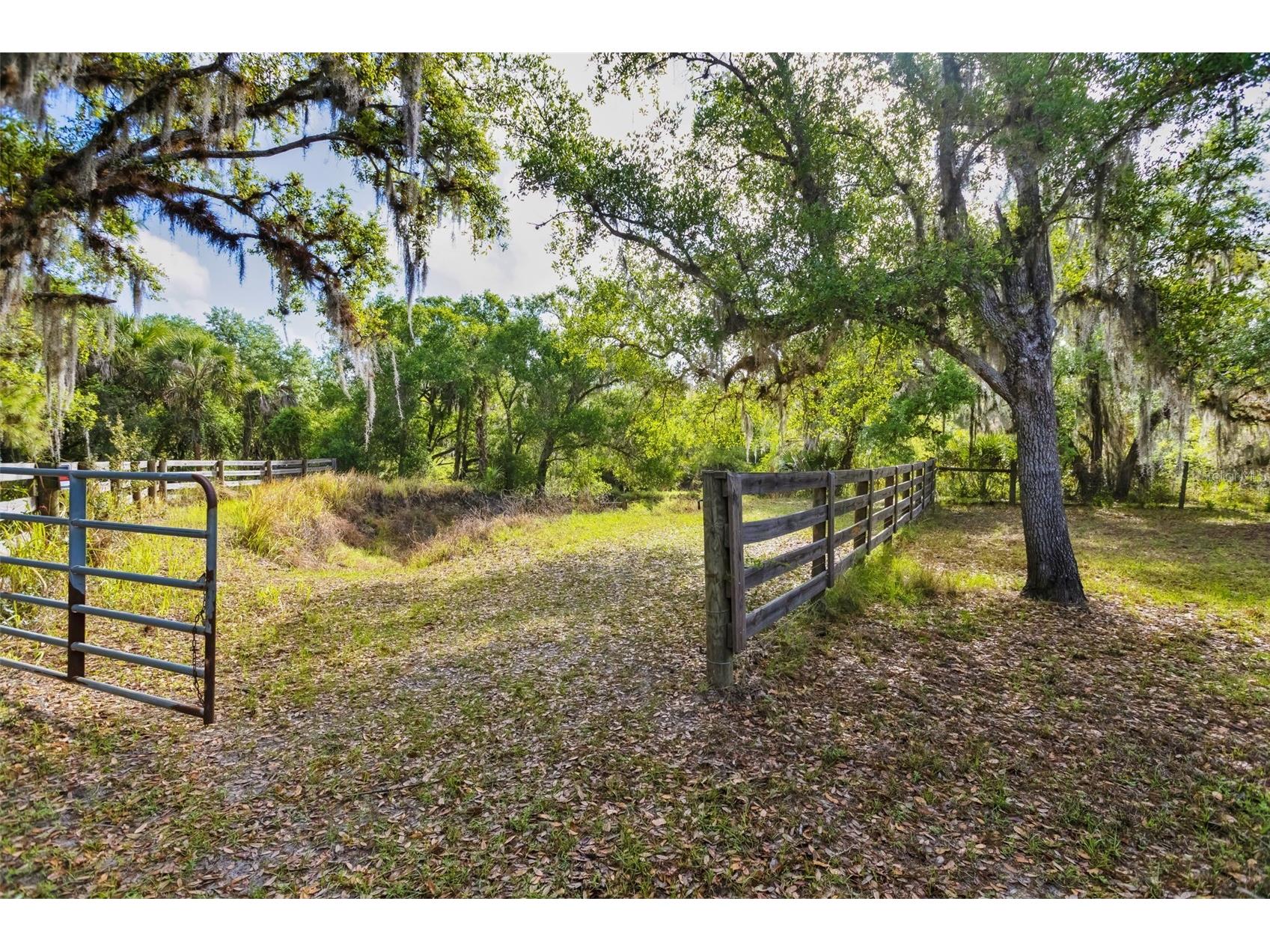 8096 SW Golden Glade Avenue Arcadia FL 34266 - Horse Creek A4689295 image25