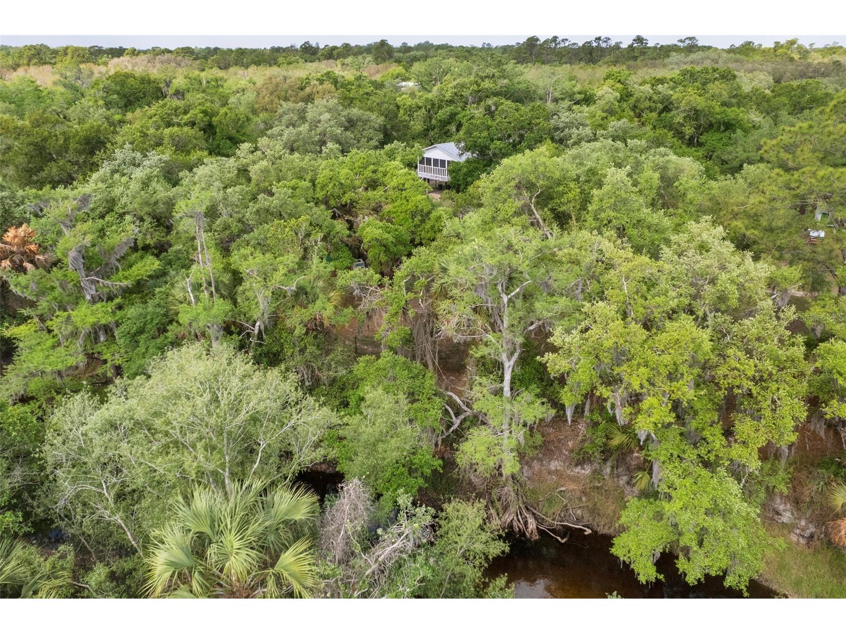 8096 SW Golden Glade Avenue Arcadia FL 34266 - Horse Creek A4689295 image27