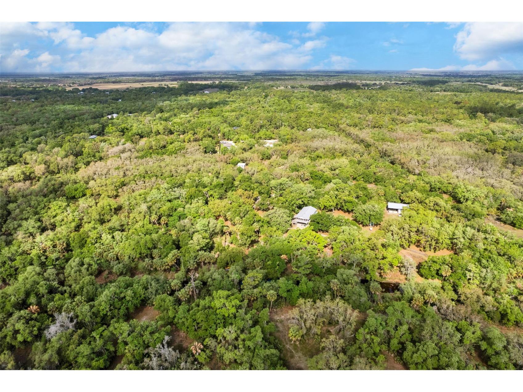 8096 SW Golden Glade Avenue Arcadia FL 34266 - Horse Creek A4689295 image28