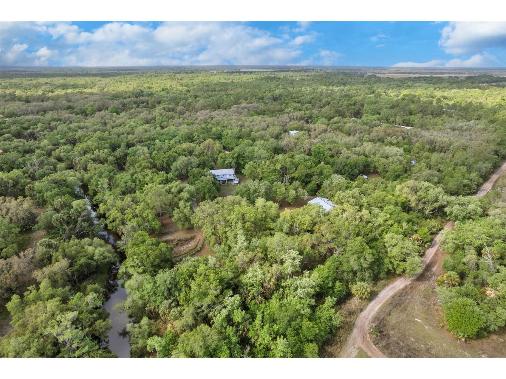 8096 SW Golden Glade Avenue Arcadia FL 34266 - Horse Creek A4689295 image30