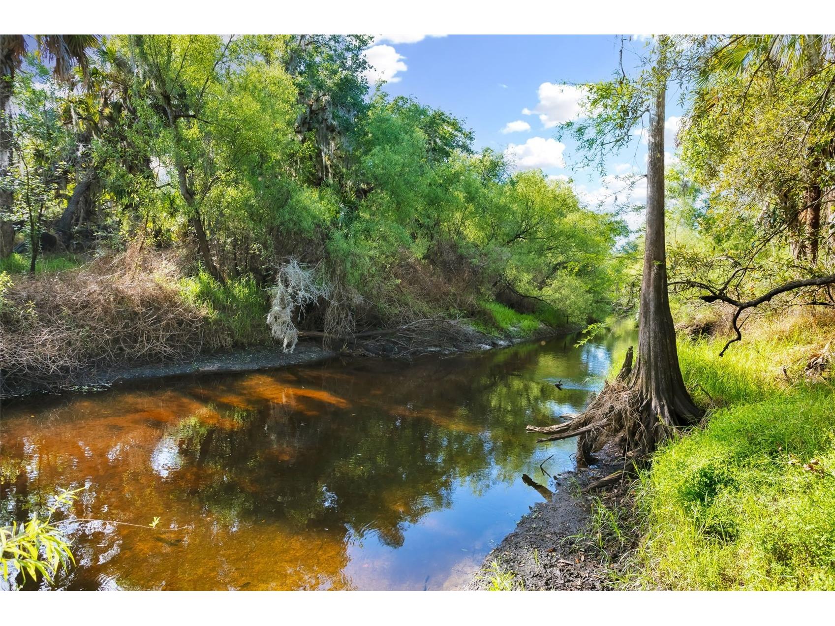 8096 SW Golden Glade Avenue Arcadia FL 34266 - Horse Creek A4689295 image32