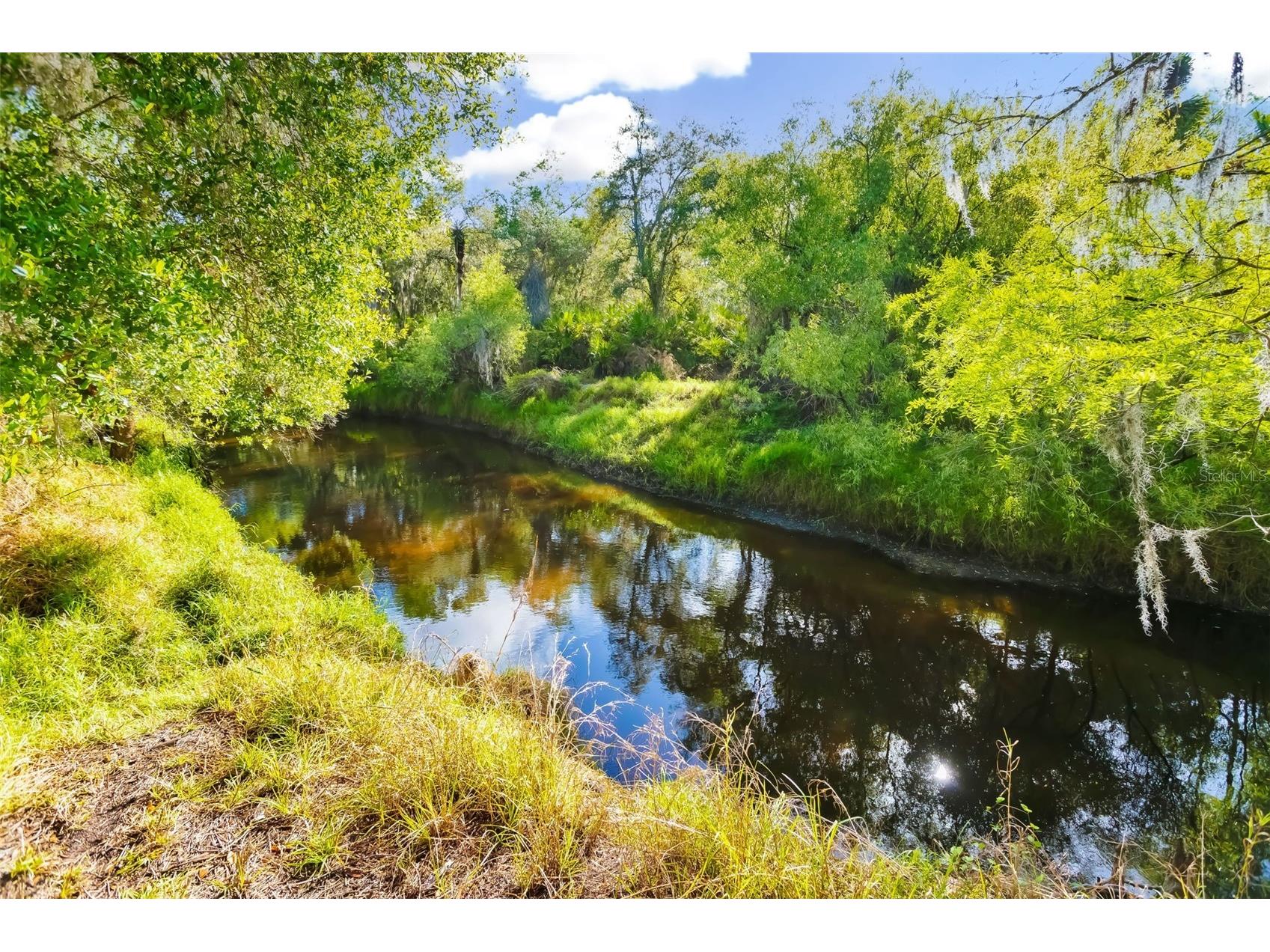 8096 SW Golden Glade Avenue Arcadia FL 34266 - Horse Creek A4689295 image33