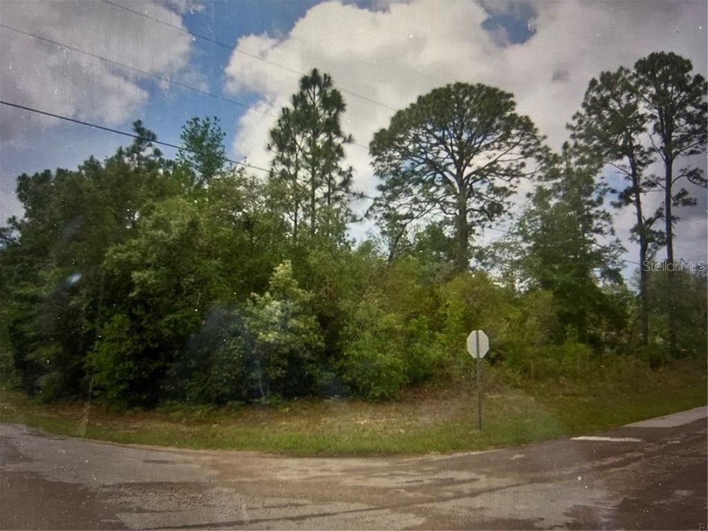 8097 N Fieldstone Drive Citrus Springs FL 34433 J966907 image1