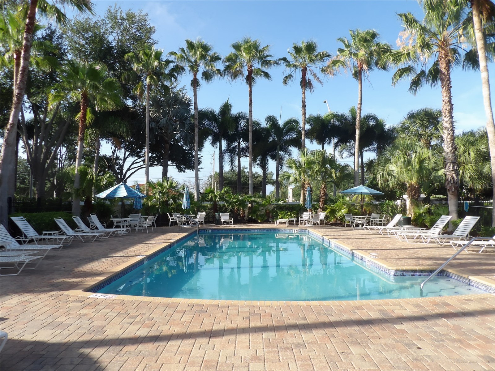 8098 Moonstone Drive #17-203 Sarasota FL 34233 A4695055 image20