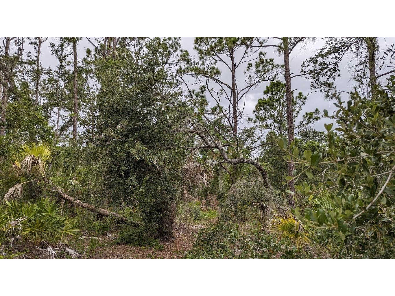 81 Akers Street Port Charlotte FL 33953 D6131211 image1