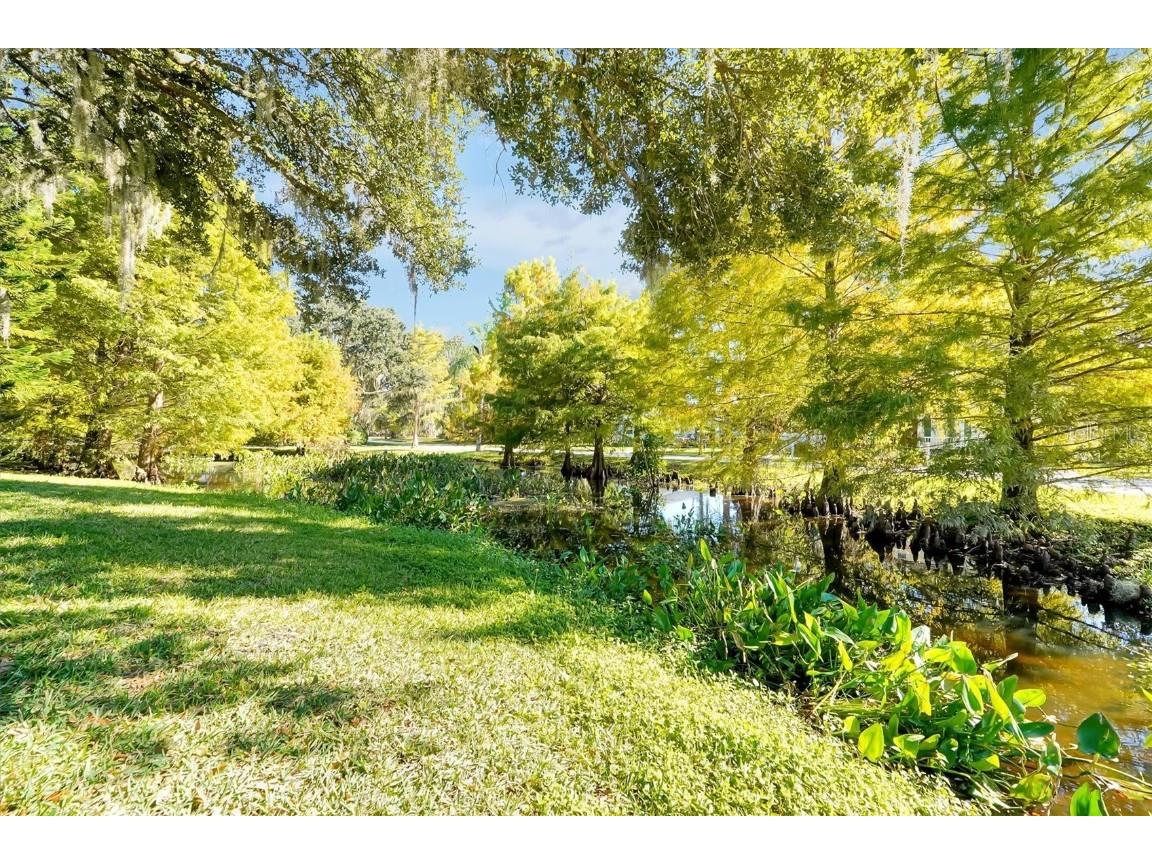 81 Oakdale Street Windermere FL 34786 - LAKE DOWN S5138567 image72