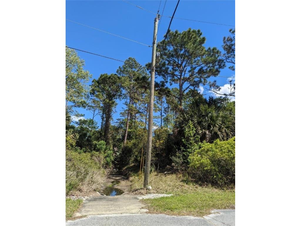 81 Pine Haven Dr Palm Coast FL 32164 FC308793 image1