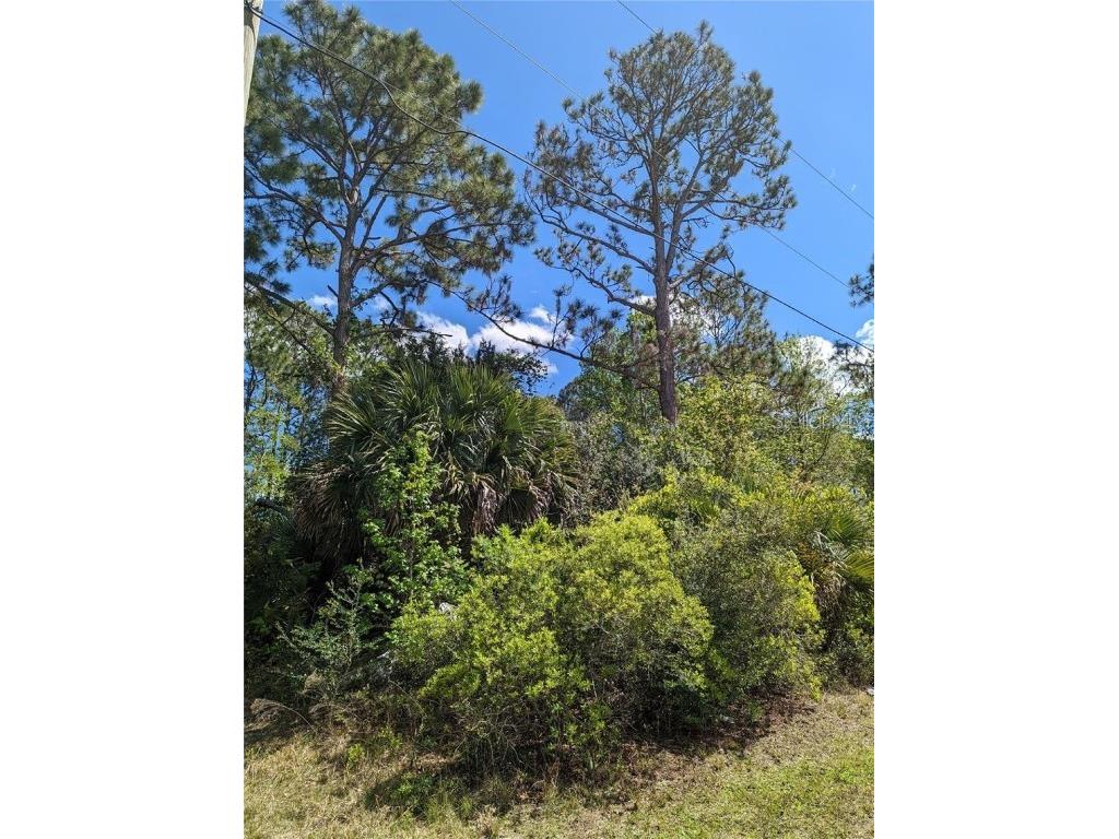 81 Pine Haven Dr Palm Coast FL 32164 FC308793 image11