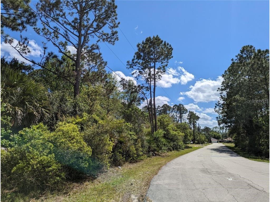 81 Pine Haven Dr Palm Coast FL 32164 FC308793 image2