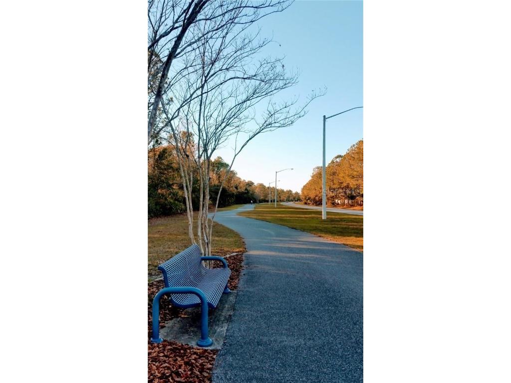 81 Pine Haven Dr Palm Coast FL 32164 FC308793 image7