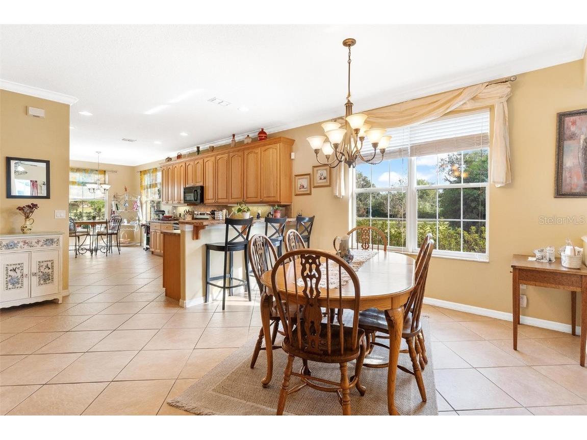 81 Twin Lake Circle Umatilla FL 32784 G5105552 image22