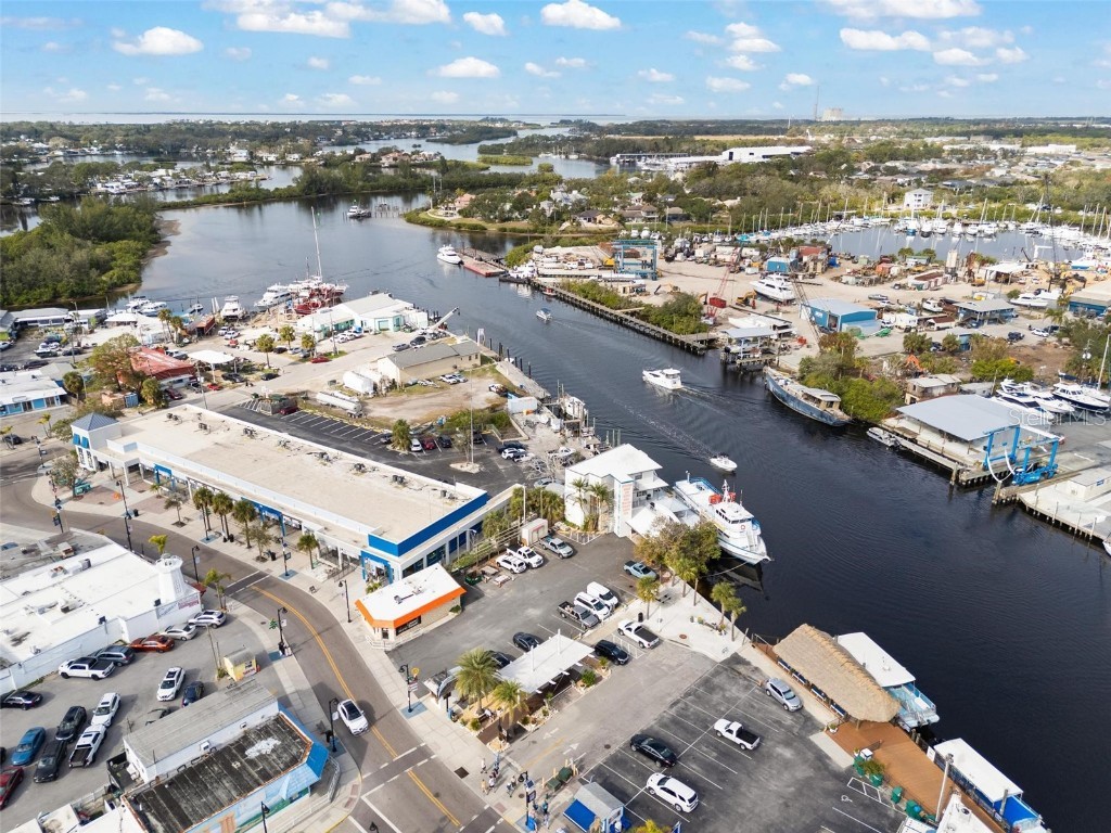 810 Dodecanese Boulevard Tarpon Springs FL 34689 - ANCLOTE RIVER W7871219 image14