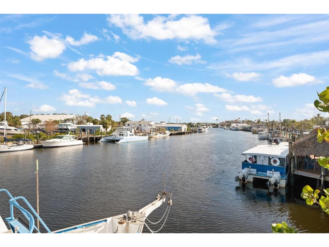 810 Dodecanese Boulevard Tarpon Springs FL 34689 - ANCLOTE RIVER W7871219 image41