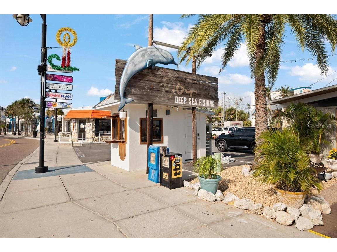 810 Dodecanese Boulevard Tarpon Springs FL 34689 - ANCLOTE RIVER W7871219 image46