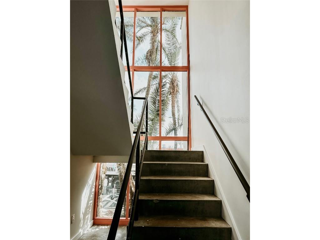 810 Dodecanese Boulevard Tarpon Springs FL 34689 - ANCLOTE RIVER W7871219 image49