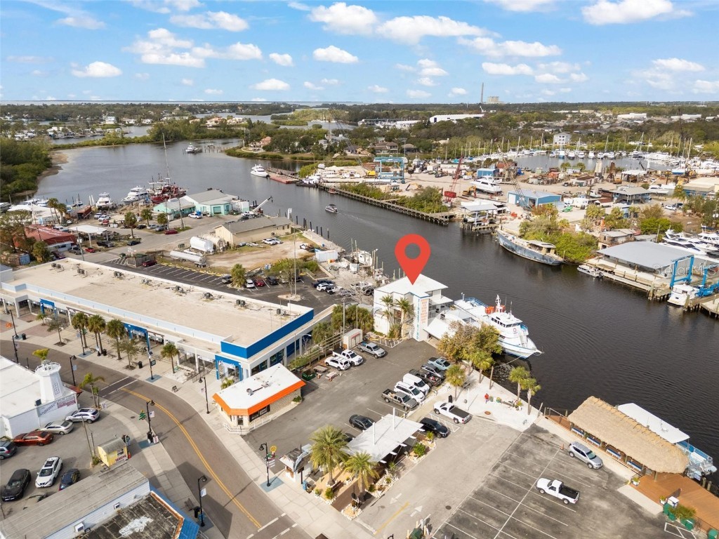 810 Dodecanese Boulevard Tarpon Springs FL 34689 - ANCLOTE RIVER W7871219 image5